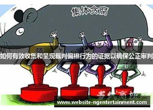 如何有效收集和呈现裁判偏袒行为的证据以确保公正审判