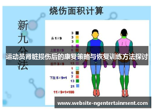 运动员肾脏损伤后的康复策略与恢复训练方法探讨