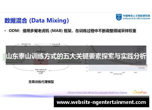 山东泰山训练方式的五大关键要素探索与实践分析