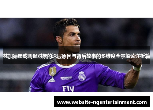 林加德屡成调侃对象的深层原因与背后故事的多维度全景解读详析篇