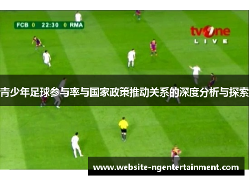 青少年足球参与率与国家政策推动关系的深度分析与探索