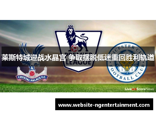 莱斯特城迎战水晶宫 争取摆脱低迷重回胜利轨道