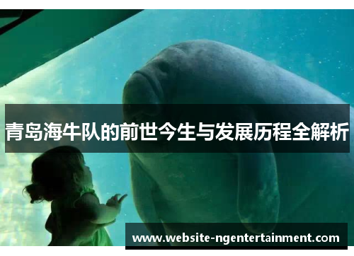青岛海牛队的前世今生与发展历程全解析